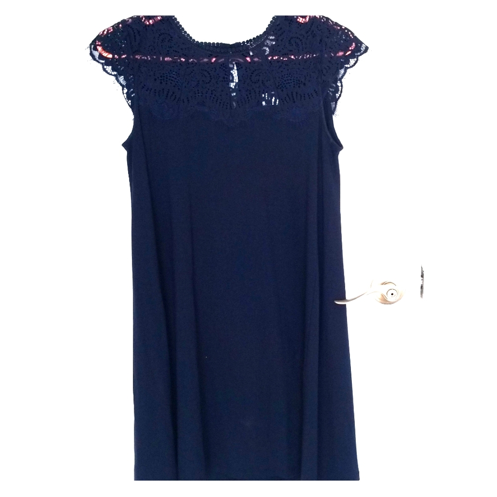 Loft lace swing dress